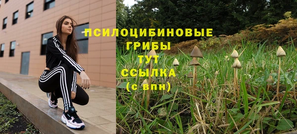 apvp Мегион