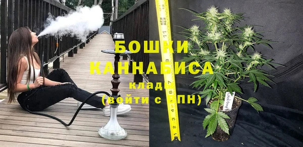 крисы Медногорск