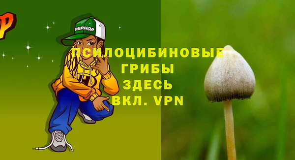 ALPHA-PVP Медвежьегорск