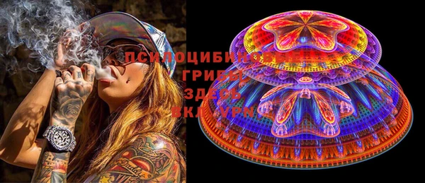 apvp Мегион