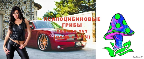 крисы Медногорск