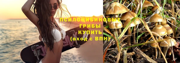 apvp Мегион