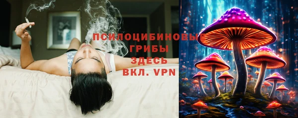 крисы Медногорск