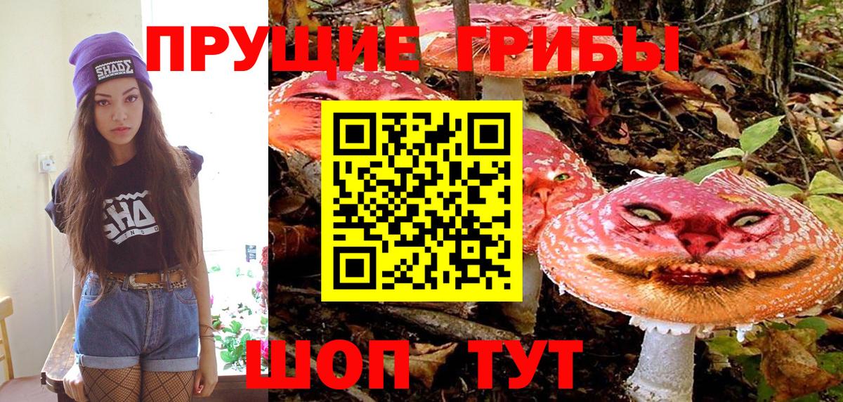 Галлюциногенные грибы MAGIC MUSHROOMS Павлово