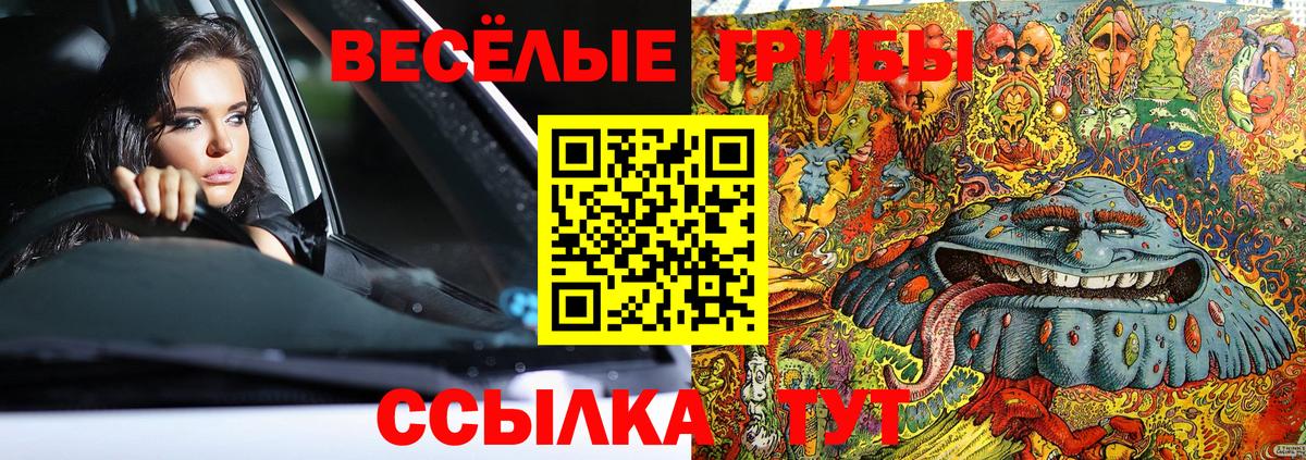 Павлово  Галлюциногенные грибы MAGIC MUSHROOMS  Вход с VPN 