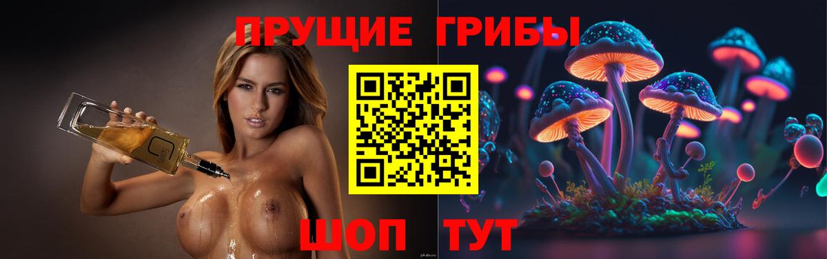 Галлюциногенные грибы Magic Shrooms Павлово