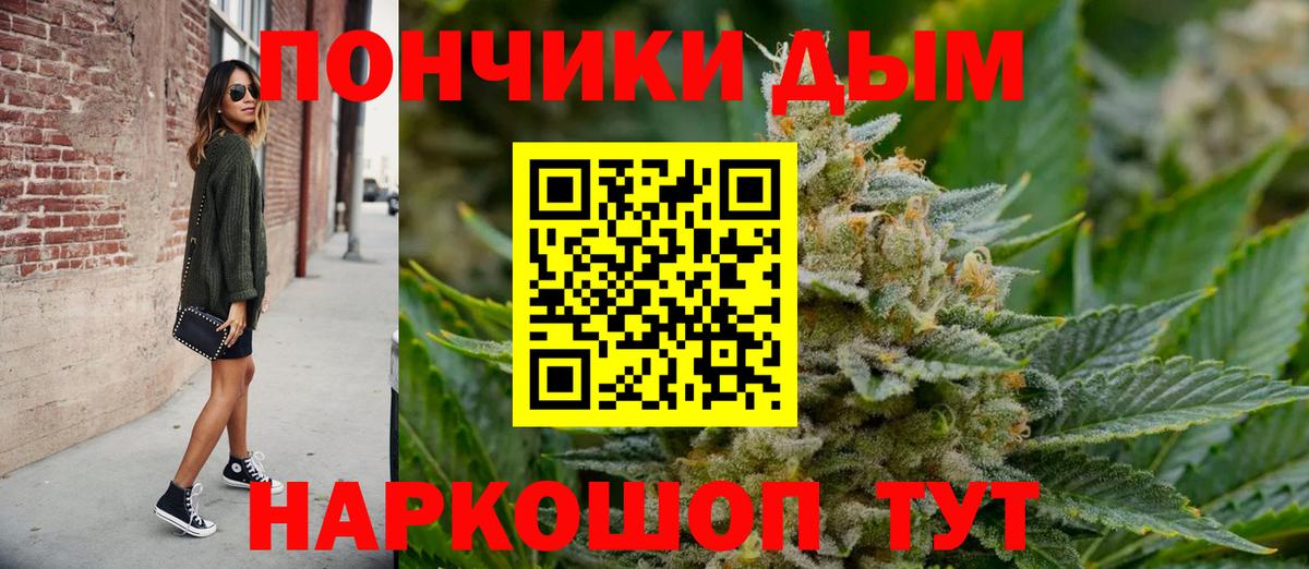 Конопля план  Канабис семена  Канабис SATIVA & INDICA  Павлово  Вход с VPN 