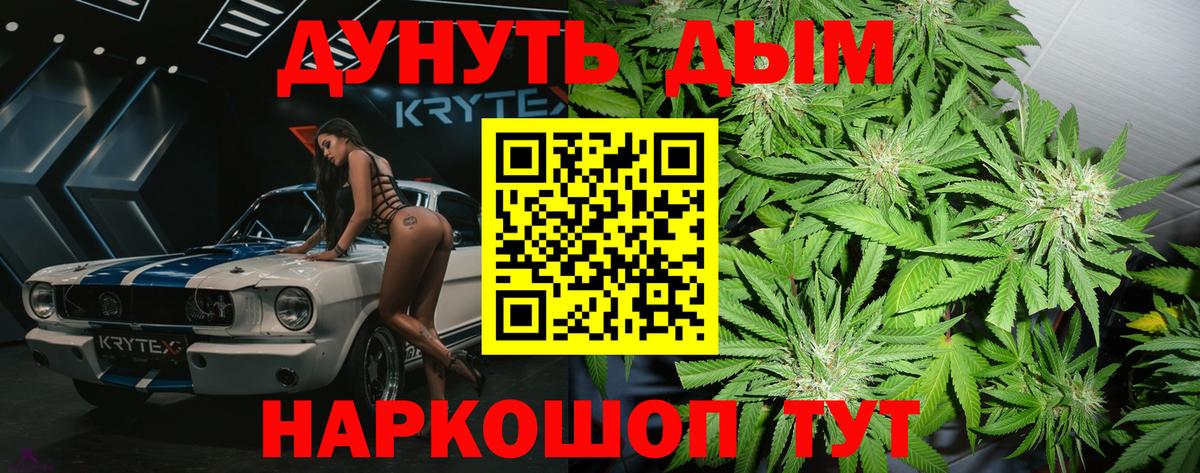 Канабис сатива Павлово